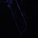 Rebel Velvet Trouser Midnight