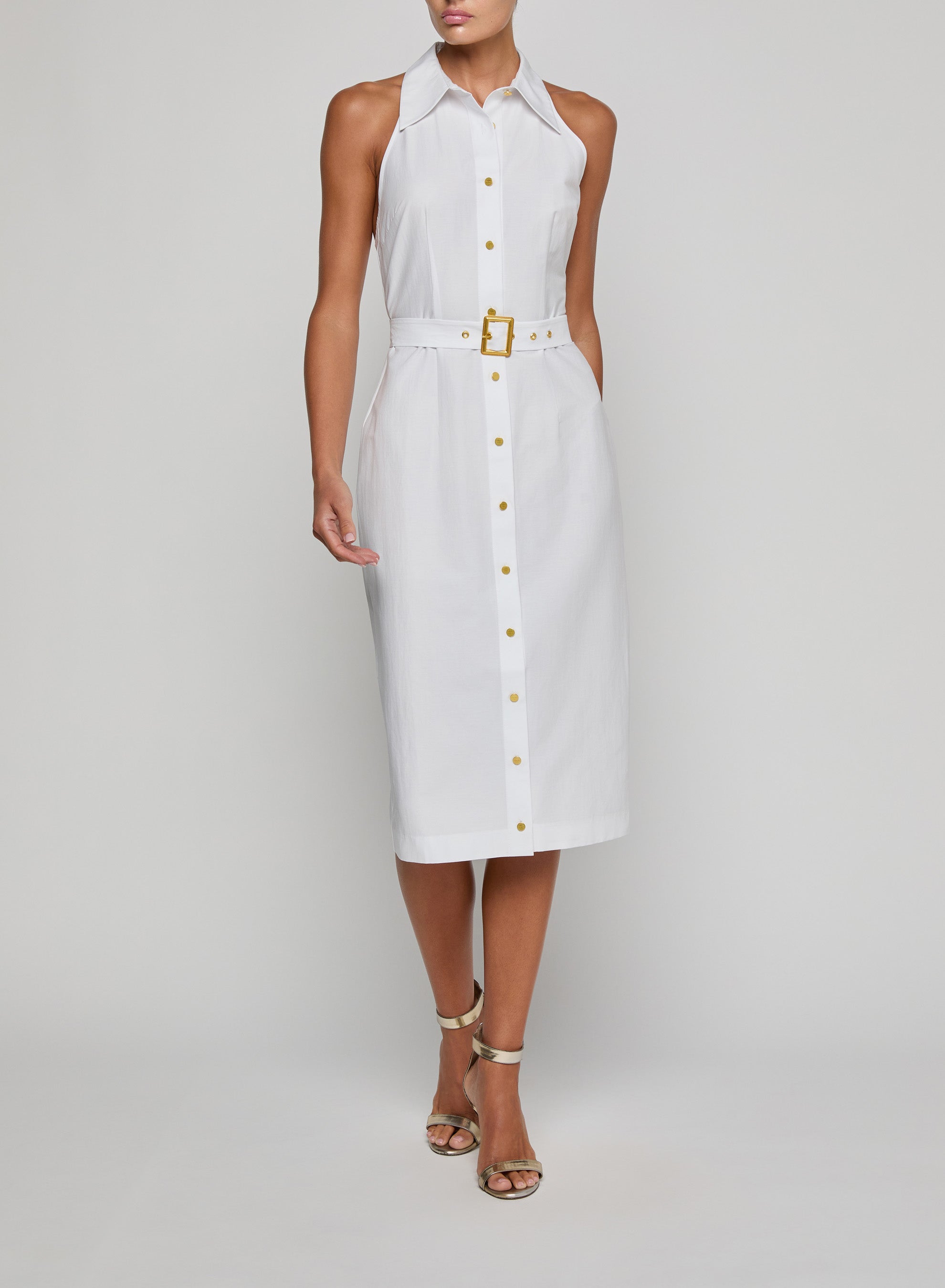 LISETTE SLVLSS BTTNDWN DRESS