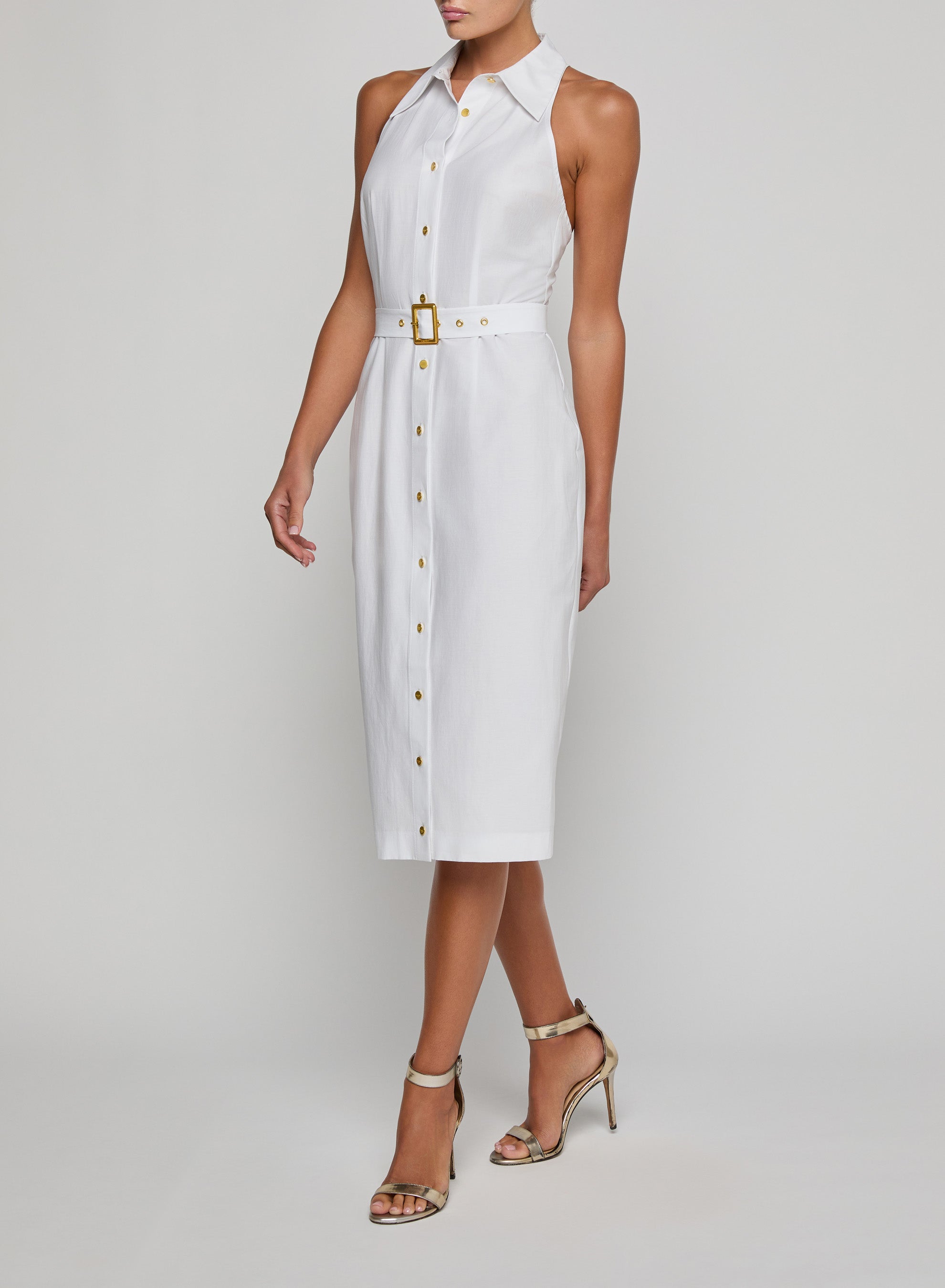 LISETTE SLVLSS BTTNDWN DRESS