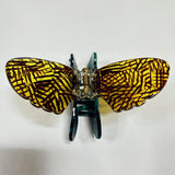 Green Bee Jaw