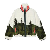 MOUNTAIN VIEW LANDSCAPE