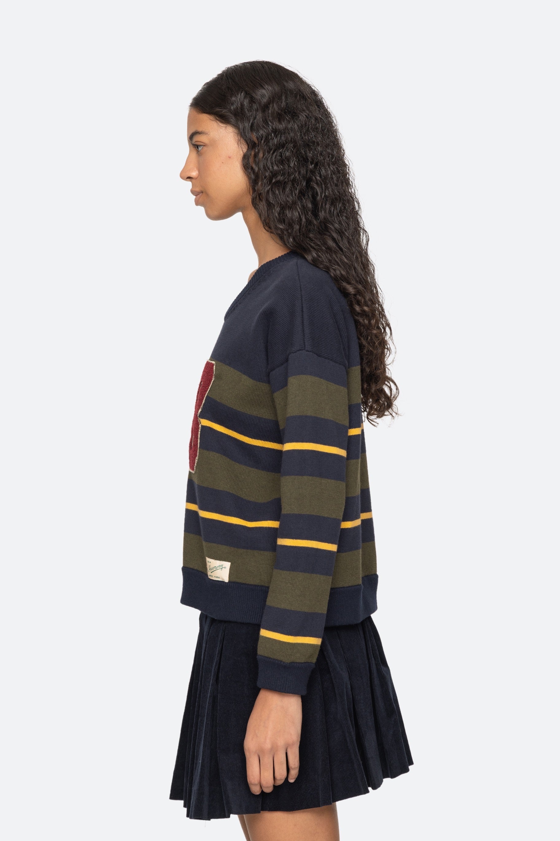 MINA NOVELTY VNECK SWEATER (D1)