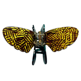 Green Bee Jaw